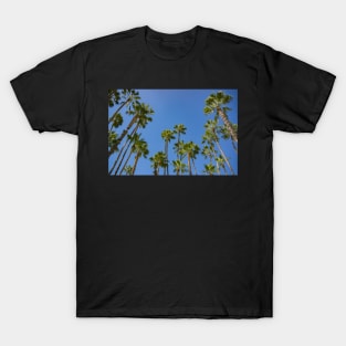 palm trees T-Shirt